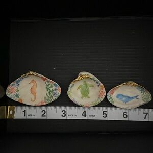 SEASHELLS SET of 3